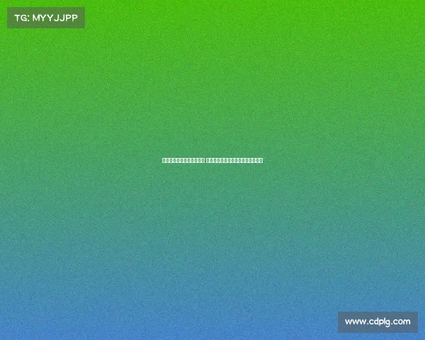 约维奇谈与约基奇共事经历 称与世界最佳球员搭档轻松学到很多